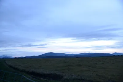 DSC_1119 (Large).JPG